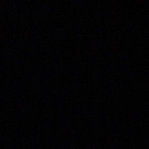 Meet your Posher, Trevor